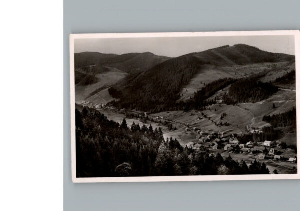 Menzenschwand