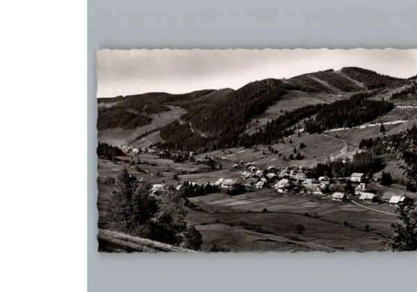 Menzenschwand
