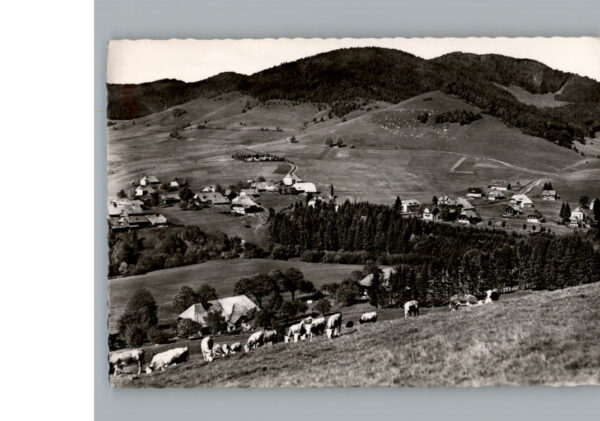 Bernau Schwarzwald