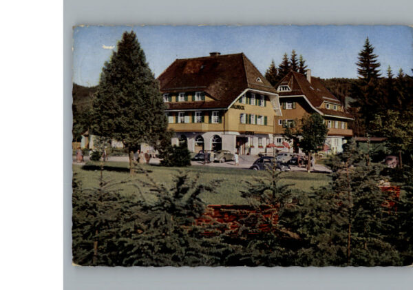 Titisee Hotel Waldeck