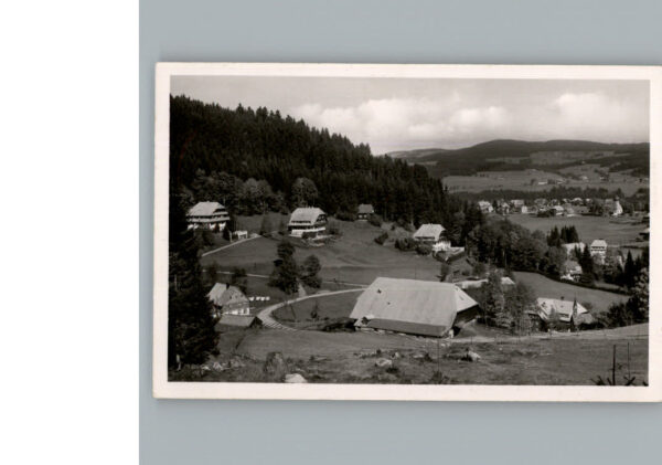 Hinterzarten