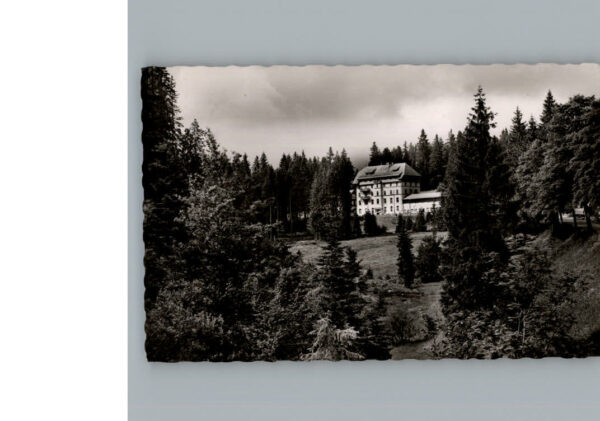 Todtnau Waldhotel am Notschrei