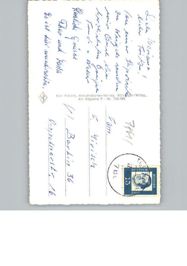 Sallneck – Bild 2