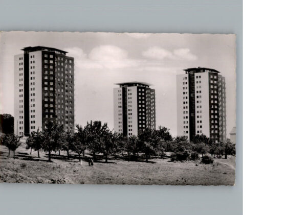 Ulm Donau
