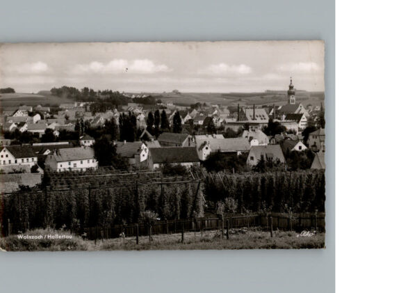 Wolnzach