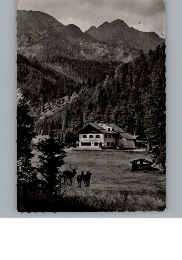 Bayrischzell Gasthaus Zipflwirt