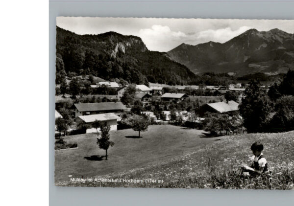 Muehlau