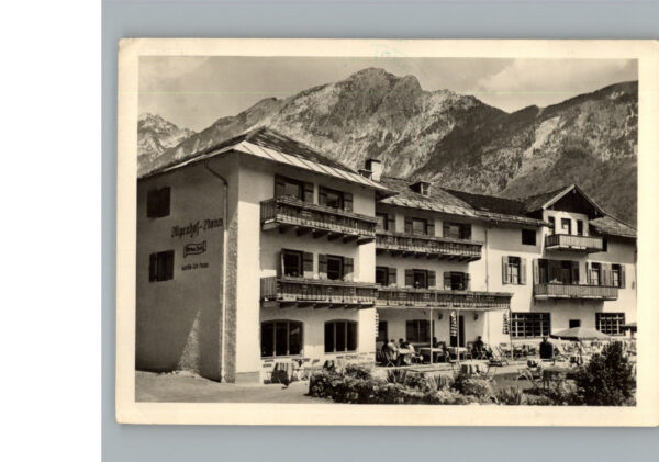 Bad  Reichenhall Alpenhof Graue Katz