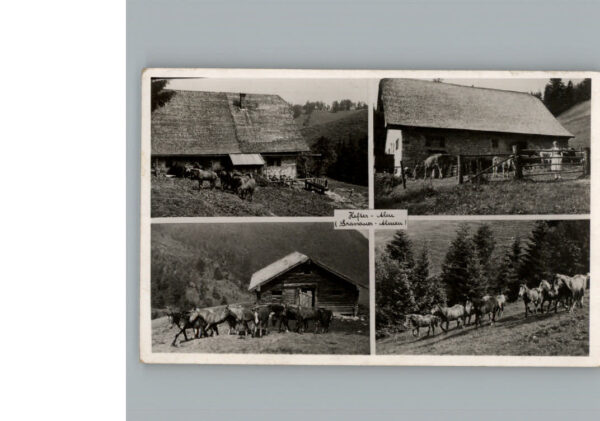 Grassau Chiemgau