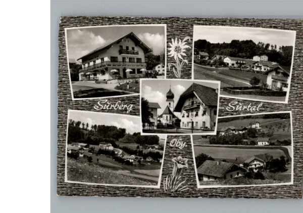 Surberg
