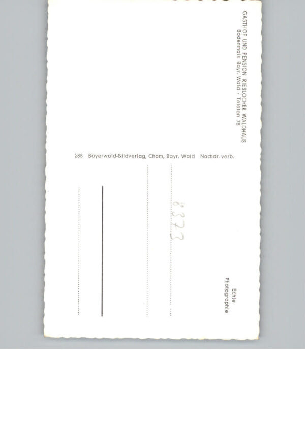 Bodenmais Gasthof und Pension Rieslocher – Bild 2