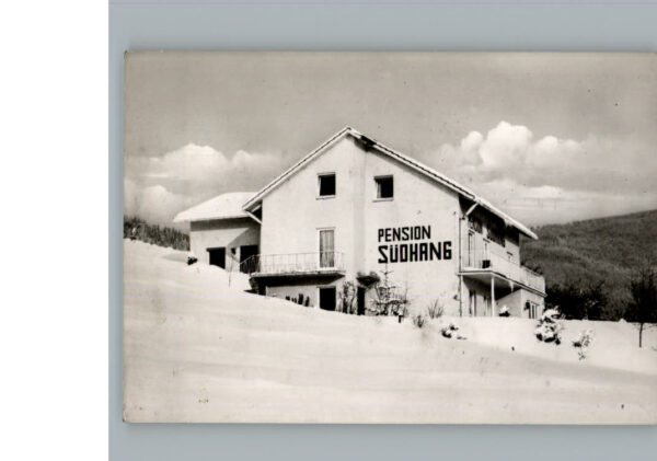 Bodenmais Winterkarte Pension Suedhang