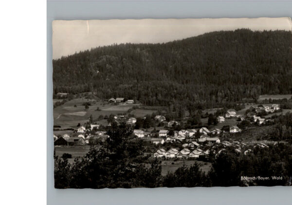Boebrach