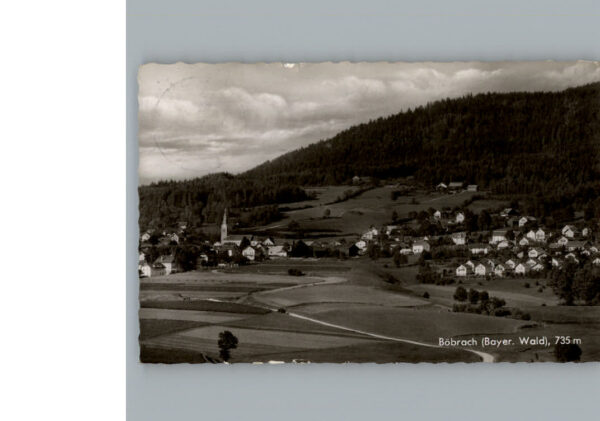 Boebrach