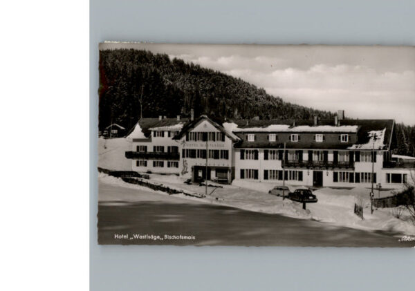 Bischofsmais Hotel Wastsaege