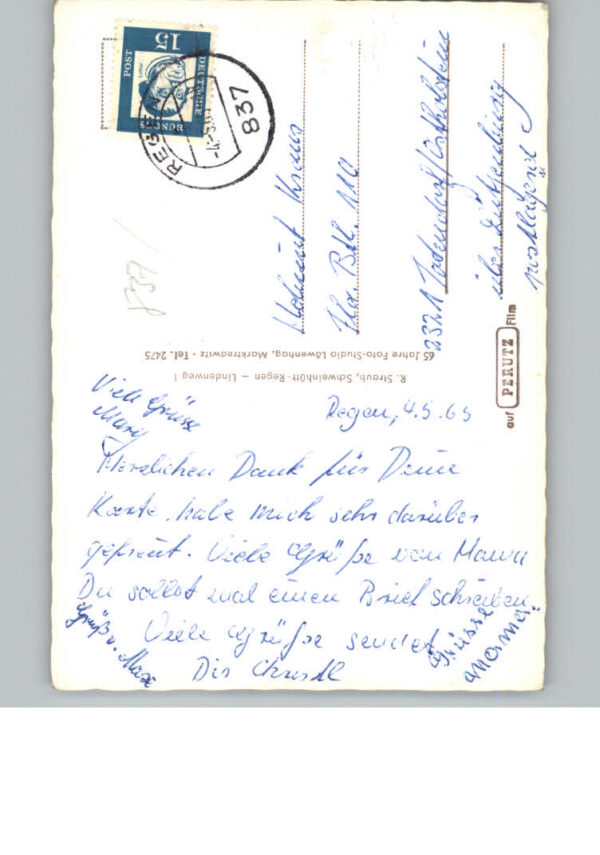 Regen – Bild 2