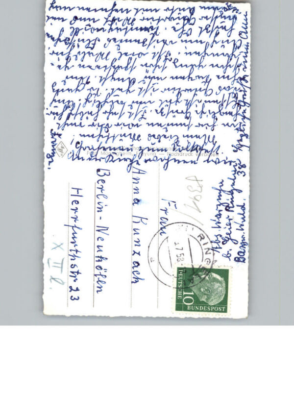 Ringelai – Bild 2