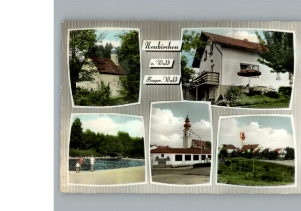 Neukirchen Wald