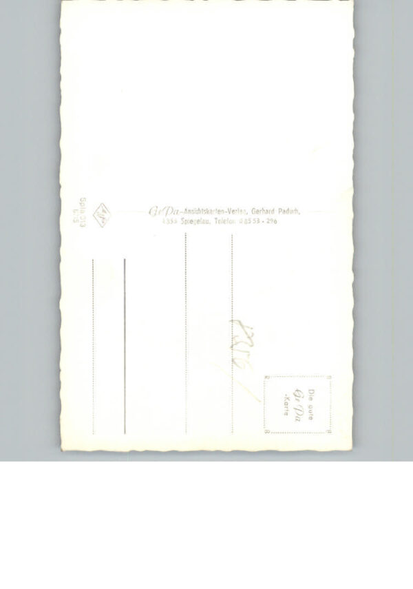 Spiegelau Ortsansicht – Bild 2