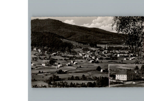 Hohenwarth Koetzting Gasthof Klier