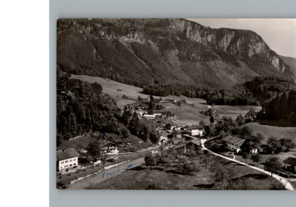 Bach Donau