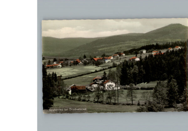 Grafenried Nittendorf
