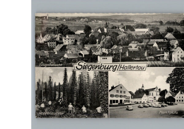 Siegenburg