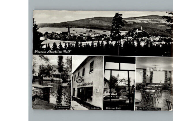 Pleystein
