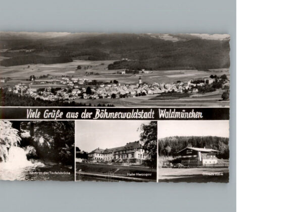 Waldmuenchen