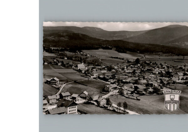 Arnbruck Fliegeraufnahme