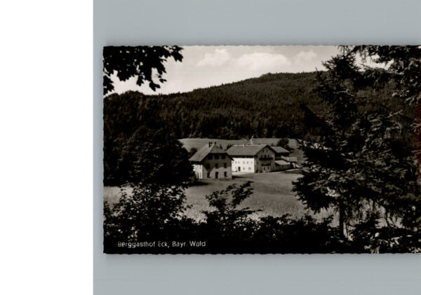 Lam Oberpfalz Berggasthof Eck