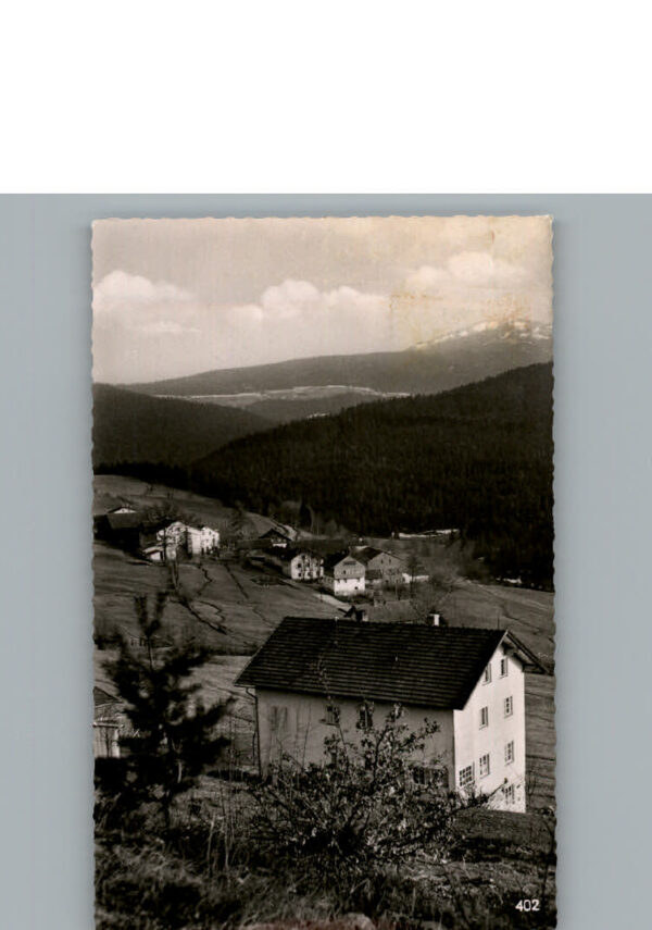 Lohberg Lam