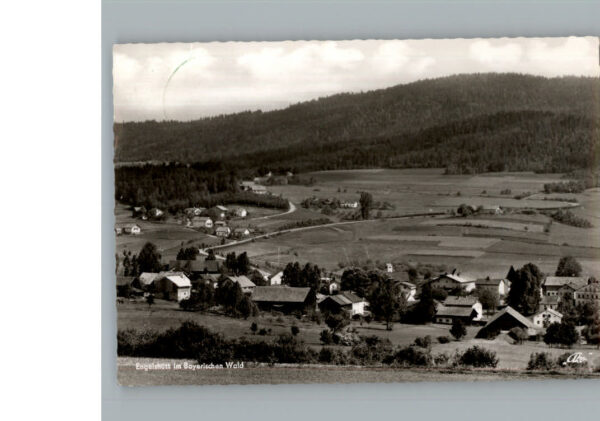 Engelshuett
