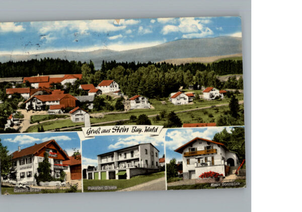 Stein Cham Gasthof-Pension Braun