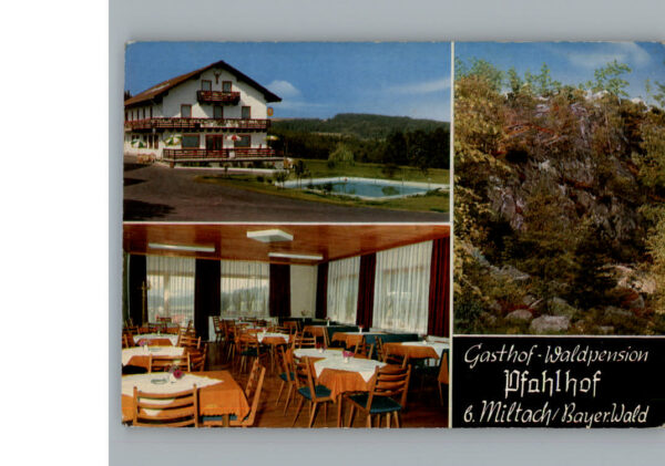 Miltach Gasthof Waldpension Pfahlhof