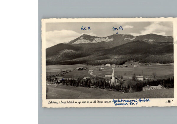 Lohberg Lam