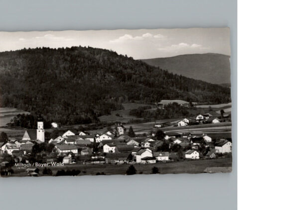 Miltach