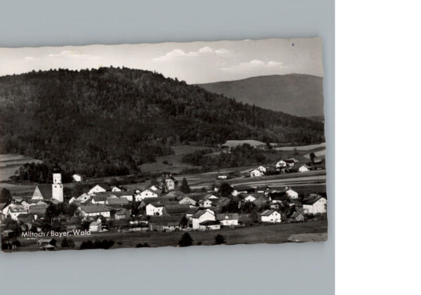 Miltach