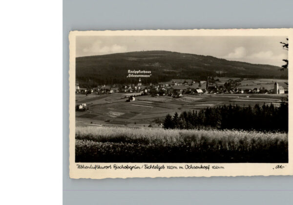 Bischofsgruen