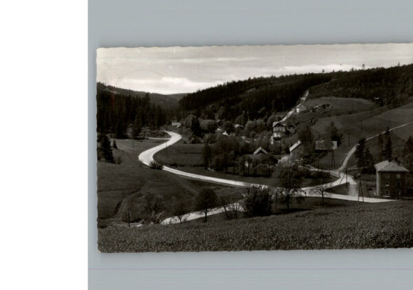 Bischofsgruen