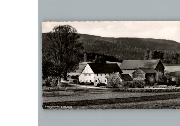 Friedenfels Gasthof Baernhoehe