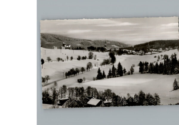 Bischofsgruen