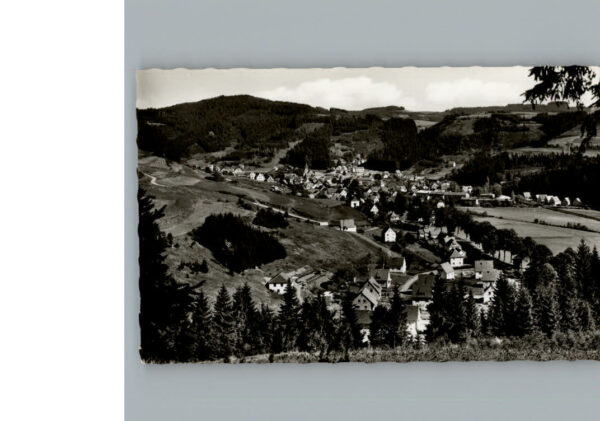 Steinwiesen