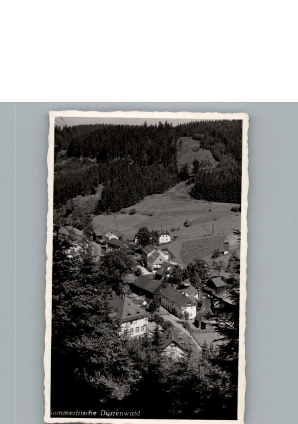 Duerrenwaid