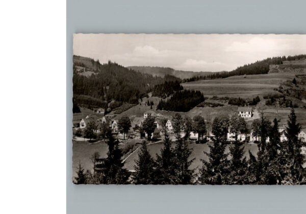Steinwiesen