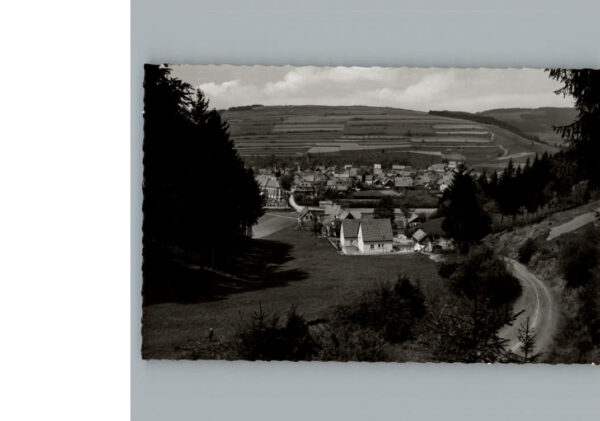 Steinwiesen