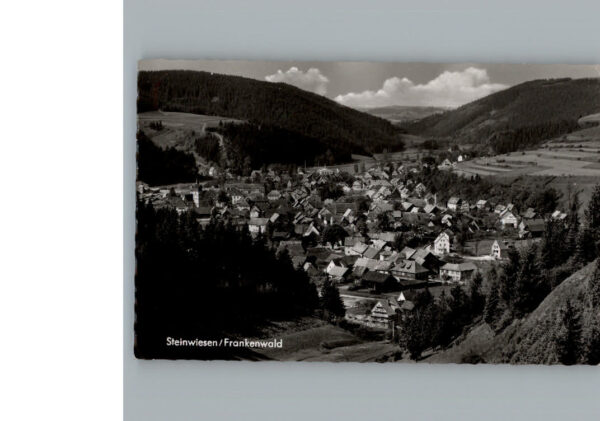 Steinwiesen