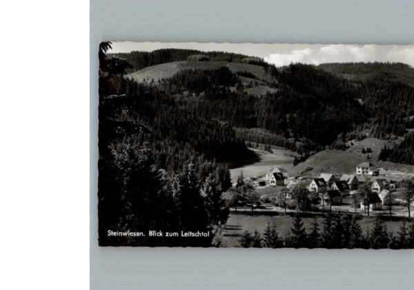 Steinwiesen