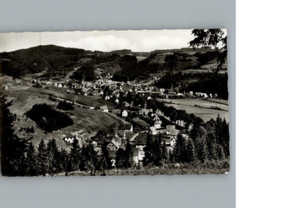 Steinwiesen