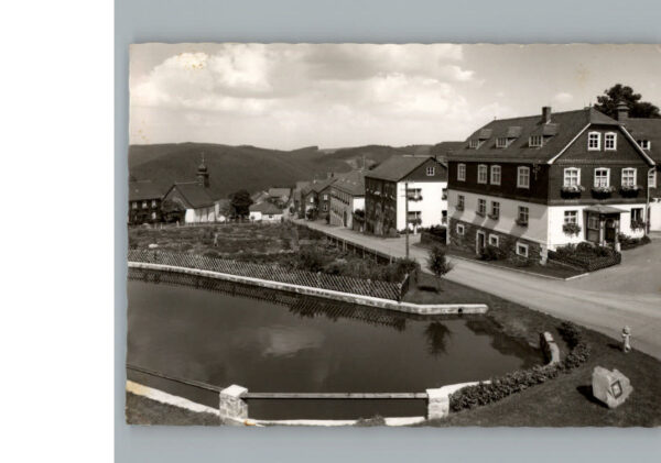 Steinbach Haide